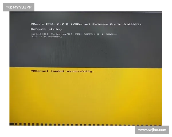 受 Abyss Locker 对 Linux 的勒索软件攻击影响的 VMware ESXi 服务器 受 Abyss Locker 对 Linux 的勒索软件攻击影响的 VMware ESXi 服务器