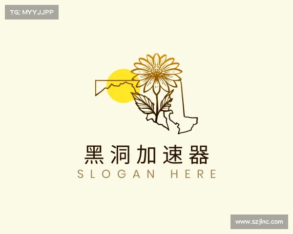 认识黑洞加速器